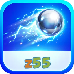z55